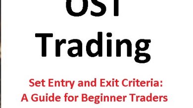 Set Entry and Exit Criteria: A Guide for Beginner Traders