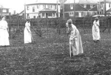 Dr. Parvin's Cruel Experiments
